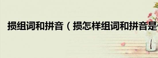 损组词和拼音（损怎样组词和拼音是什么）