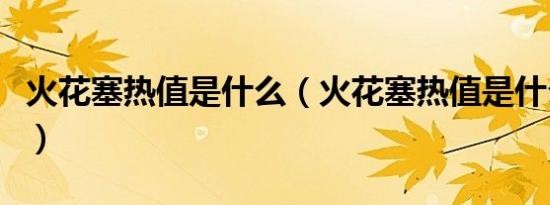 火花塞热值是什么（火花塞热值是什么怎么看）
