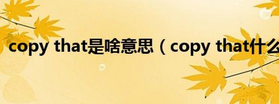 copy that是啥意思（copy that什么意思）