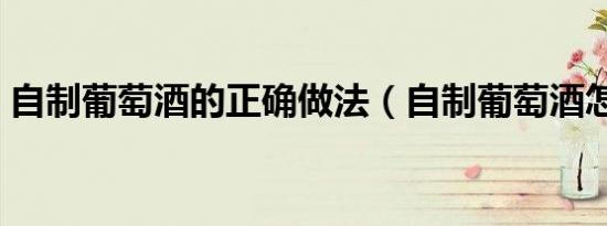 自制葡萄酒的正确做法（自制葡萄酒怎么做）