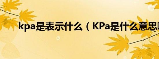 kpa是表示什么（KPa是什么意思啊）