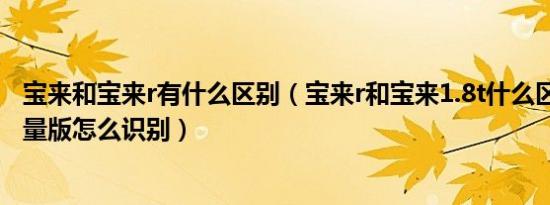 宝来和宝来r有什么区别（宝来r和宝来1.8t什么区别宝来r限量版怎么识别）