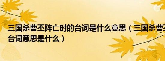 三国杀曹丕阵亡时的台词是什么意思（三国杀曹丕阵亡时的台词意思是什么）