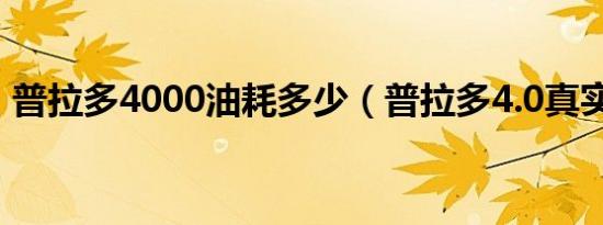 普拉多4000油耗多少（普拉多4.0真实油耗）