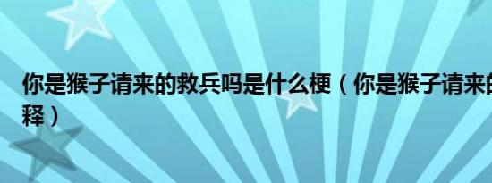 你是猴子请来的救兵吗是什么梗（你是猴子请来的救兵吗解释）