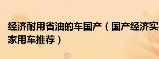 经济耐用省油的车国产（国产经济实惠省油的家用车推荐）