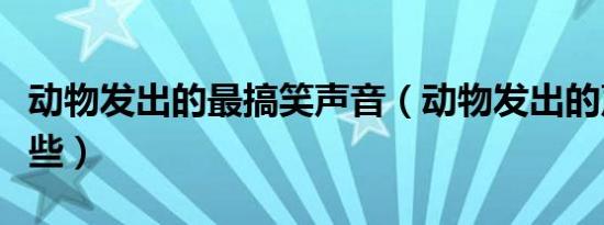 动物发出的最搞笑声音（动物发出的声音有哪些）