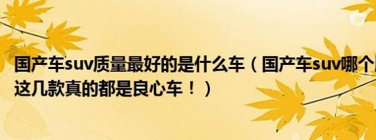 国产车suv质量最好的是什么车（国产车suv哪个牌子质量好这几款真的都是良心车！）