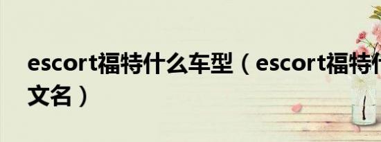 escort福特什么车型（escort福特什么车中文名）