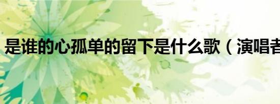 是谁的心孤单的留下是什么歌（演唱者是谁）