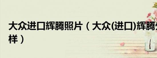 大众进口辉腾照片（大众(进口)辉腾外观怎么样）