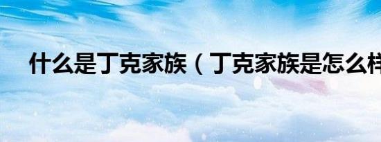 什么是丁克家族（丁克家族是怎么样的）