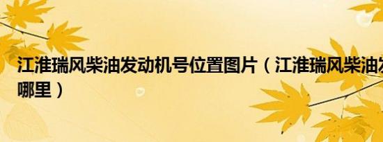 江淮瑞风柴油发动机号位置图片（江淮瑞风柴油发动机号在哪里）