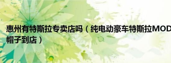 惠州有特斯拉专卖店吗（纯电动豪车特斯拉MODELS惠州红帽子到店）