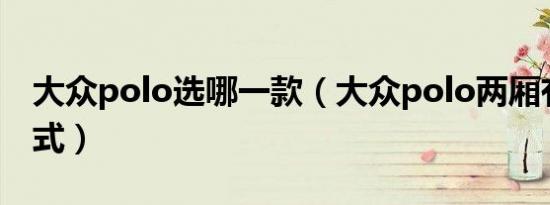 大众polo选哪一款（大众polo两厢有哪些款式）