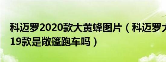 科迈罗2020款大黄蜂图片（科迈罗大黄蜂2019款是敞篷跑车吗）