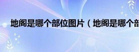 地阁是哪个部位图片（地阁是哪个部位）