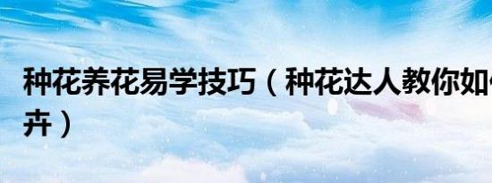 种花养花易学技巧（种花达人教你如何养好花卉）