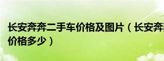 长安奔奔二手车价格及图片（长安奔奔二手车价格多少）