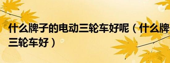 什么牌子的电动三轮车好呢（什么牌子的电动三轮车好）