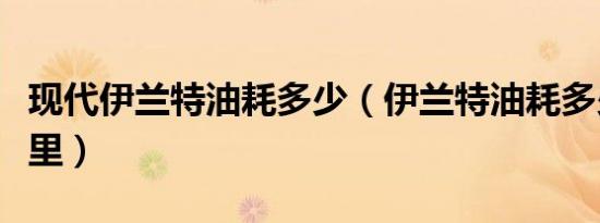 现代伊兰特油耗多少（伊兰特油耗多少钱一公里）
