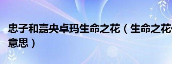 忠子和嘉央卓玛生命之花（生命之花代表什么意思）