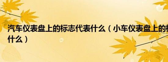 汽车仪表盘上的标志代表什么（小车仪表盘上的标志都代表什么）