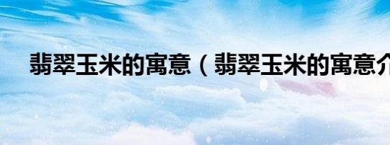 翡翠玉米的寓意（翡翠玉米的寓意介绍）