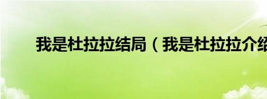 我是杜拉拉结局（我是杜拉拉介绍）