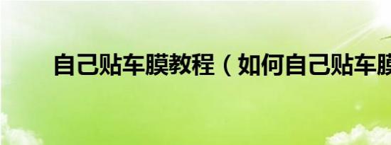 自己贴车膜教程（如何自己贴车膜）