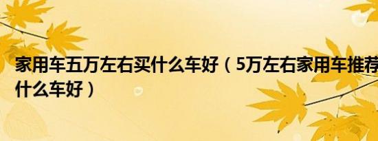 家用车五万左右买什么车好（5万左右家用车推荐5万左右买什么车好）