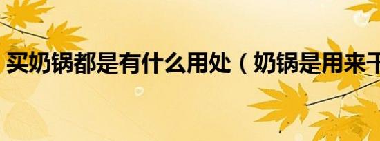 买奶锅都是有什么用处（奶锅是用来干嘛的）