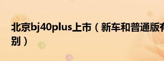 北京bj40plus上市（新车和普通版有什么区别）