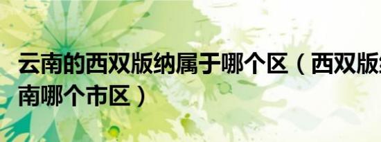 云南的西双版纳属于哪个区（西双版纳属于云南哪个市区）