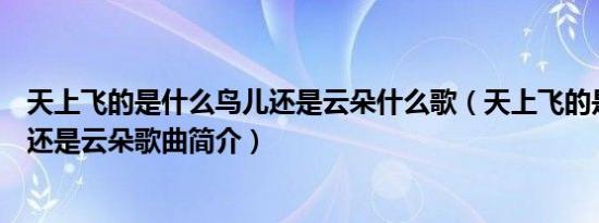 天上飞的是什么鸟儿还是云朵什么歌（天上飞的是什么鸟儿还是云朵歌曲简介）