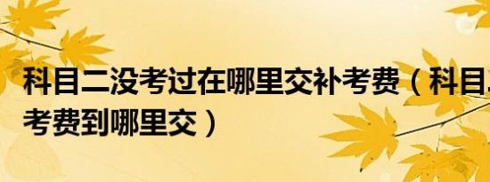 科目二没考过在哪里交补考费（科目二没过补考费到哪里交）
