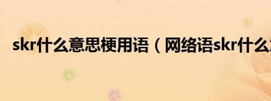 skr什么意思梗用语（网络语skr什么意思）