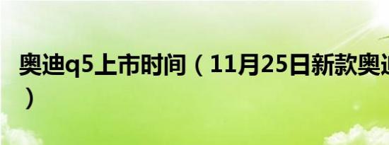 奥迪q5上市时间（11月25日新款奥迪q5上市）