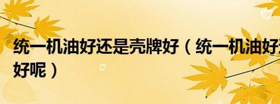 统一机油好还是壳牌好（统一机油好还是壳牌好呢）