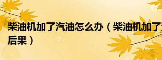 柴油机加了汽油怎么办（柴油机加了汽油什么后果）