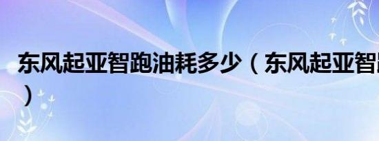 东风起亚智跑油耗多少（东风起亚智跑怎么样）