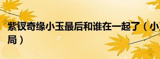 紫钗奇缘小玉最后和谁在一起了（小玉最后结局）