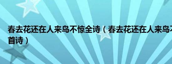 春去花还在人来鸟不惊全诗（春去花还在人来鸟不惊出自哪首诗）