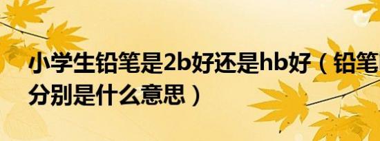 小学生铅笔是2b好还是hb好（铅笔hb和2b分别是什么意思）