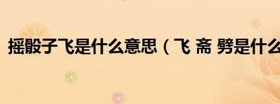 摇骰子飞是什么意思（飞 斋 劈是什么意思）