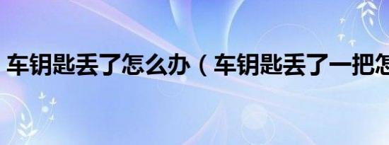 车钥匙丢了怎么办（车钥匙丢了一把怎么办）