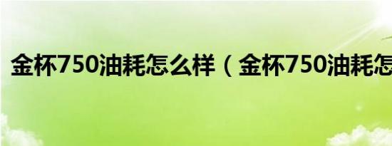 金杯750油耗怎么样（金杯750油耗怎么样）