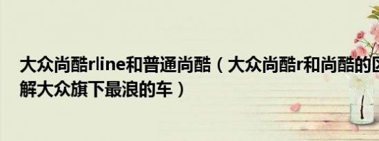 大众尚酷rline和普通尚酷（大众尚酷r和尚酷的区别带你了解大众旗下最浪的车）