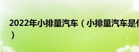 2022年小排量汽车（小排量汽车是什么意思）