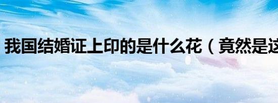 我国结婚证上印的是什么花（竟然是这种花）
